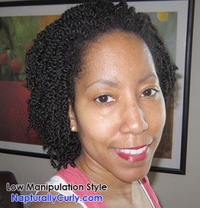 Protective Styles for Natural Hair (Pictures)