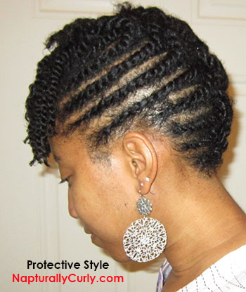 Protective Styles For Natural Hair Pictures