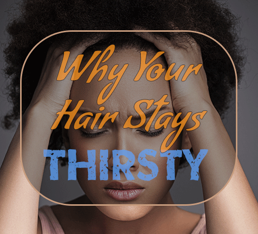 Got Chronically Dry Hair? Here's Why!