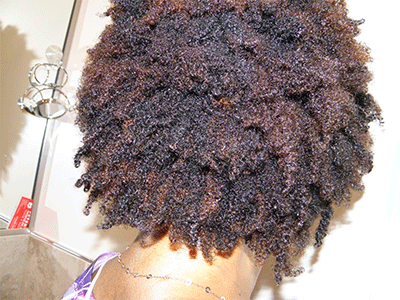 Black Natural Hair Types Chart